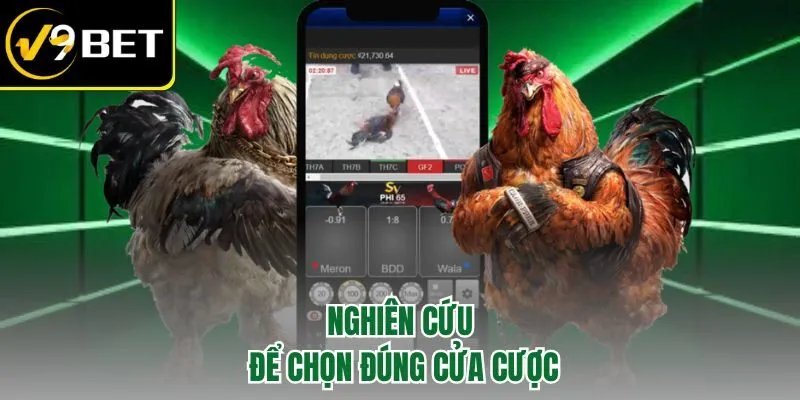Nghiên cứu để chọn đúng cửa cược